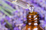 Dropper dispensing essential oil into an amber glass bottle with lavender in the background.